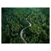 Umělecká fotografie Aerial road crossing the forest, Javier Pardina, (40 x 30 cm)