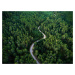 Umělecká fotografie Aerial road crossing the forest, Javier Pardina, (40 x 30 cm)