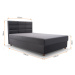 ArtIdz Jednolůžková postel APINO | zelená 120 x 200 cm