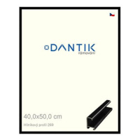 DANTIK rámeček 40 × 50, ALU profil 7269 Černý lesklý plexi čiré