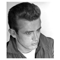 Fotografie Rebel Without A Cause directed by Nicholas Ray, 1955, 33.5 × 40 cm