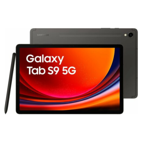 SAMSUNG Galaxy Tab S9 5G 12+256GB šedá