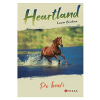 Heartland: Po bouři