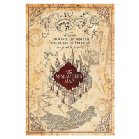 Plakát, Obraz - Harry Potter - Pobertův plánek, (61 x 91.5 cm)