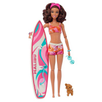 Barbie Barbie surfařka s doplňky HPL69