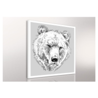 Obraz na plátně BEAR A různé rozměry Ludesign ludesign obrazy: 80x80 cm