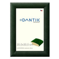 DANTIK rámeček 20 × 30, LEDVINKA zelený sklo čiré