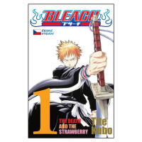 Bleach 1