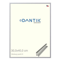 DANTIK rámeček 30 × 40, ALU profil 7001 Stříbrný matný plexi čiré