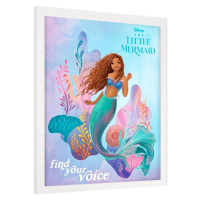 Obraz na zeď - The Little Mermaid: Live Action - Find Your Voice