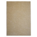 Vopi koberce Kusový koberec Color shaggy béžový - 300x400 cm