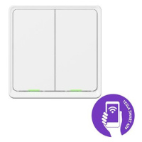 Tesla Smart Switch Dual ZigBee