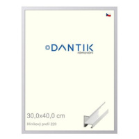 DANTIK rámeček 30 × 40, ALU profil 6220 Bílý matný plexi čiré