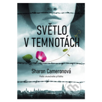 Světlo v temnotách - Sharon Cameron - kniha z kategorie Beletrie pro děti