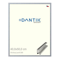 DANTIK rámeček 40 × 50, ALU profil 7269 Sstříbrný broušený plexi čiré