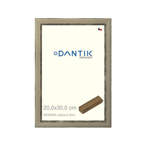 DANTIK rámeček 20 × 30, AKVAREL béžový sklo čiré