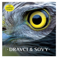 Dravci a sovy