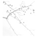 Fotografie shadows of hawthorn tree branches with, Aleksandra Konoplia, 40 × 26.7 cm