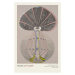 Obrazová reprodukce Tree of Knowledge Series (No.4 out of 8) - Hilma af Klint, 26.7 × 40 cm