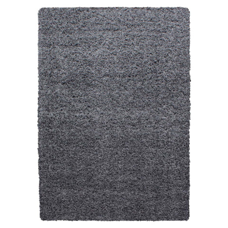 Tmavě šedý koberec 80x150 cm Life – Ayyildiz Carpets