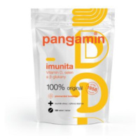 Pangamin Imunita 120 tablet