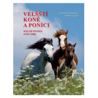 Velšští koně a poníci / Welsh Ponies and Cobs