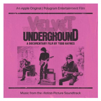 Soundtrack: The Velvet Underground: A Documentary Film By Todd Haynes - CD