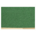 Metrážový koberec Star s filcom 42 zelený