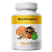 MYCOMEDICA MycoComplex Vegan 90 kapslí