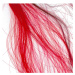 Elyseé Infinity Hair Color Mousse - barevná pěnová tužidla, 75 ml 5.6 - Ruby - rubínová