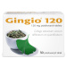 GINGIO 120 mg 30 potahovaných tablet