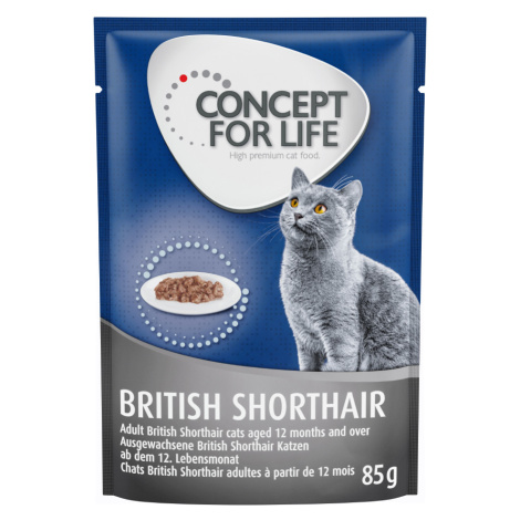 Concept for Life British Shorthair Adult (kvalita ragú) - 48 x 85 g