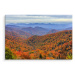 Plátno Podzimní Les V Horách Varianta: 70x50