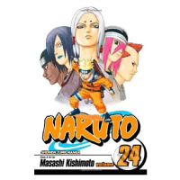 Naruto, Vol. 24: Unorthodox - Masashi Kishimoto - kniha z kategorie Sci-fi, fantasy a komiksy