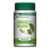 Ginkgo Biloba extrakt 40mg tbl.30+30 BIO-Pharma