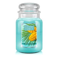 Country Candle Svíčka ve skleněné dóze, Mangový nektar, 680 g