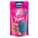 Vitakraft Cat Yums losos 3 × 40 g