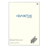 DANTIK rámeček 50 × 70, ALU profil 6030 Stříbrný matný plexi čiré