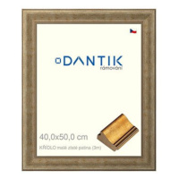 DANTIK rámeček 40 × 50, KŘÍDLO malé zlaté patina sklo čiré