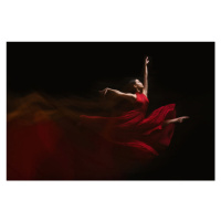 Fotografie Flow of Dance, Rob Li, 40 × 26.7 cm