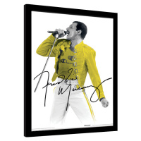 Obraz na zeď - Freddie Mercury - Yellow Jacket, 30x40 cm