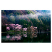 Umělecká fotografie In The Morning Mist, Takeshi Mitamura, (40 x 26.7 cm)