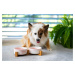 Vsepropejska Garbo dvojitá mramorová keramická miska pro psa či kočku Barva: Růžová, Rozměr (cm)