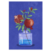 Ilustrace Pomegranate in Vase, Raissa Oltmanns, 26.7 × 40 cm