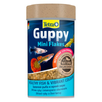 TETRA Guppy Food 100ml