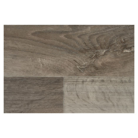 PVC podlaha - lino Xtreme Lime Oak 976M - dub - Rozměr na míru cm