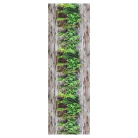 Hnědo-zelený běhoun Floorita Aromatica, 58 x 190 cm