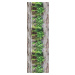 Hnědo-zelený běhoun Floorita Aromatica, 58 x 190 cm