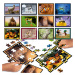 Puzzle Battle Příroda Nature Educa 12 druhů puzzle 504 dílků a 12 karet s obrázky od 7 let