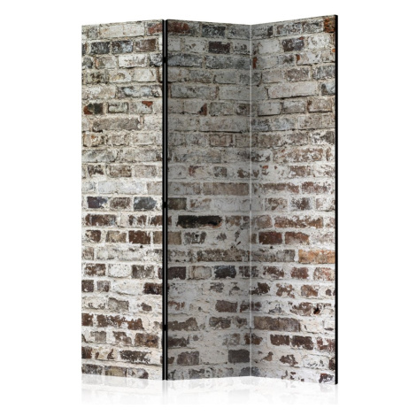 Paraván Walls of Time Dekorhome 225x172 cm (5-dílný) Artgeist